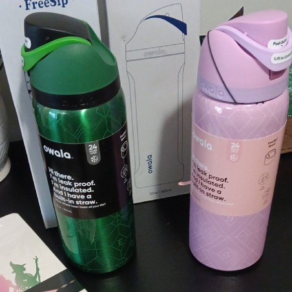 Owala Green Elphaba & Pink Glinda FreeSip 32 oz Wicked Water Bottles & BONUS! - Picture 2 of 8